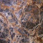 Marmur - Rainforest Brown